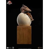 Elite Creature Collectibles Jurassic Park Elite Creature Line Statue 1/2 Pterosaur Hatching 16 cm Elite Creature Collectibles Jurassic Park Elite Creature Line Statue 1/2 Pterosaur Hatching 16 cm