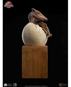 Elite Creature Collectibles Jurassic Park Elite Creature Line Statue 1/2 Pterosaur Hatching 16 cm Elite Creature Collectibles Jurassic Park Elite Creature Line Statue 1/2 Pterosaur Hatching 16 cm