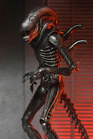 Neca Alien: Romulus Action Figure Ultimate Xenomorph XX121 18 cm Neca Alien: Romulus Action Figure Ultimate Xenomorph XX121 18 cm