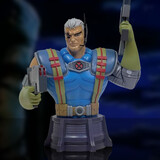 Diamond Select Toys X-Men Marvel Animated Series Bust 1/7 Cable 17 cm Diamond Select Toys X-Men Marvel Animated Series Bust 1/7 Cable 17 cm