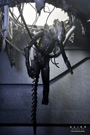 Neca Alien: Romulus Action Figure Deluxe Suspended Lab Xenomorph XX121 18 cm Neca Alien: Romulus Action Figure Deluxe Suspended Lab Xenomorph XX121 18 cm