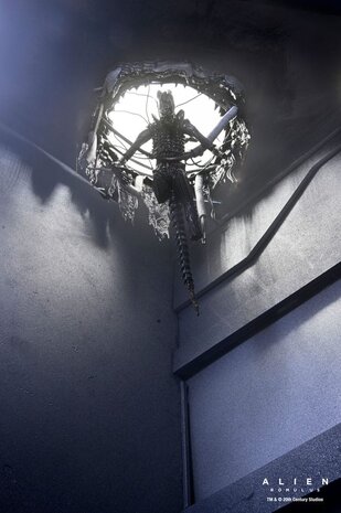 Neca Alien: Romulus Action Figure Deluxe Suspended Lab Xenomorph XX121 18 cm Neca Alien: Romulus Action Figure Deluxe Suspended Lab Xenomorph XX121 18 cm