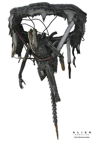 Neca Alien: Romulus Action Figure Deluxe Suspended Lab Xenomorph XX121 18 cm Neca Alien: Romulus Action Figure Deluxe Suspended Lab Xenomorph XX121 18 cm