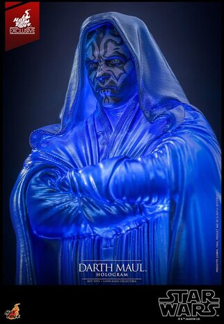 Hot Toys Star Wars Episode I Figure 1/6 Darth Maul Hologram Hot Toys Exclusive 30 cm Hot Toys Star Wars Episode I Figure 1/6 Darth Maul Hologram Hot Toys Exclusive 30 cm