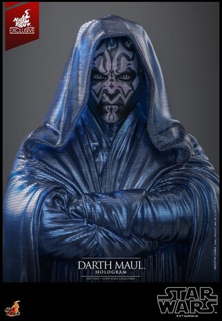 Hot Toys Star Wars Episode I Figure 1/6 Darth Maul Hologram Hot Toys Exclusive 30 cm Hot Toys Star Wars Episode I Figure 1/6 Darth Maul Hologram Hot Toys Exclusive 30 cm