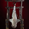 Elite Creature Collectibles Jaws Maquette 1/12 Jaws 76 cm Elite Creature Collectibles Jaws Maquette 1/12 Jaws 76 cm