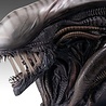 Hollywood Collectibles Group Alien Romulus Bust 1/1 Xenomorph 53 cm Hollywood Collectibles Group Alien Romulus Bust 1/1 Xenomorph 53 cm