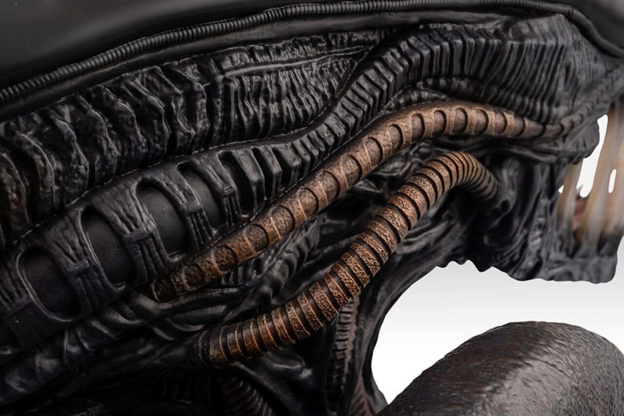 Hollywood Collectibles Group Alien Romulus Bust 1/1 Xenomorph 53 cm Hollywood Collectibles Group Alien Romulus Bust 1/1 Xenomorph 53 cm