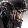 Hollywood Collectibles Group Alien Romulus Bust 1/1 Xenomorph 53 cm Hollywood Collectibles Group Alien Romulus Bust 1/1 Xenomorph 53 cm