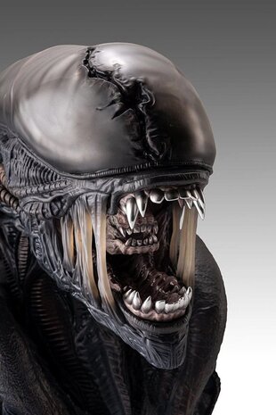 Hollywood Collectibles Group Alien Romulus Bust 1/1 Xenomorph 53 cm Hollywood Collectibles Group Alien Romulus Bust 1/1 Xenomorph 53 cm