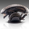 Hollywood Collectibles Group Alien Romulus Bust 1/1 Xenomorph 53 cm Hollywood Collectibles Group Alien Romulus Bust 1/1 Xenomorph 53 cm