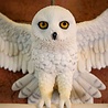The Noble Collection Harry Potter Hedwig Owl Post Wall Decor 46 cm The Noble Collection Harry Potter Hedwig Owl Post Wall Decor 46 cm
