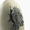 Elite Creature Collectibles Jurassic World Set of 3 Statues 1/2 Hatching Indominus Rex 13 cm Elite Creature Collectibles Jurassic World Set of 3 Statues 1/2 Hatching Indominus Rex 13 cm