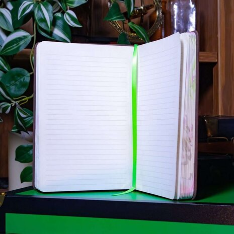 The Noble Collection Wicked Elphaba's Journal The Noble Collection Wicked Elphaba's Journal