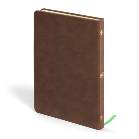 The Noble Collection Wicked Elphaba's Journal The Noble Collection Wicked Elphaba's Journal
