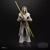 Hasbro Star Wars: The Clone Wars Black Series Action Figure Jedi Temple Guard 15 cm Hasbro Star Wars: The Clone Wars Black Series Action Figure Jedi Temple Guard 15 cm