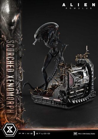 Prime 1 Studio Alien: Romulus Museum Masterline XL Statue 1/3 Scorched Xenomorph 98 cm Prime 1 Studio Alien: Romulus Museum Masterline XL Statue 1/3 Scorched Xenomorph 98 cm