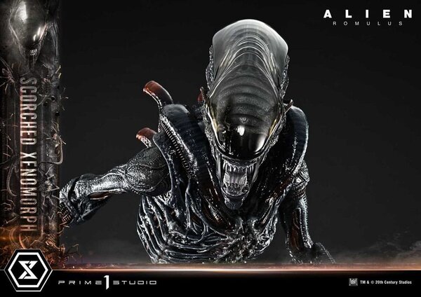 Prime 1 Studio Alien: Romulus Museum Masterline XL Statue 1/3 Scorched Xenomorph 98 cm Prime 1 Studio Alien: Romulus Museum Masterline XL Statue 1/3 Scorched Xenomorph 98 cm
