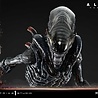 Prime 1 Studio Alien: Romulus Museum Masterline XL Statue 1/3 Scorched Xenomorph 98 cm Prime 1 Studio Alien: Romulus Museum Masterline XL Statue 1/3 Scorched Xenomorph 98 cm