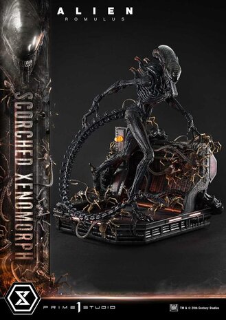 Prime 1 Studio Alien: Romulus Museum Masterline XL Statue 1/3 Scorched Xenomorph Deluxe Version 98 cm Prime 1 Studio Alien: Romulus Museum Masterline XL Statue 1/3 Scorched Xenomorph Deluxe Version 98 cm
