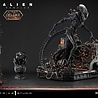 Prime 1 Studio Alien: Romulus Museum Masterline XL Statue 1/3 Scorched Xenomorph Deluxe Bonus Version 98 cm