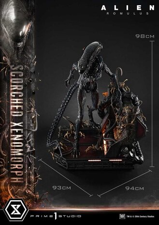 Prime 1 Studio Alien: Romulus Museum Masterline XL Statue 1/3 Scorched Xenomorph Deluxe Bonus Version 98 cm