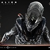 Prime 1 Studio Alien: Romulus Museum Masterline XL Statue 1/3 Scorched Xenomorph Deluxe Bonus Version 98 cm