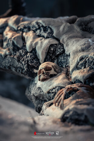 Pure Arts The Witcher Statue 1/6 Geralt vs Eredin Pure Arts The Witcher Statue 1/6 Geralt vs Eredin