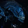 Neca Aliens Ultra Deluxe Action Figure Alien Queen 38 cm Neca Aliens Ultra Deluxe Action Figure Alien Queen 38 cm