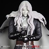 Dark Horse Castlevania Nocturne PVC Statue Alucard 25 cm Dark Horse Castlevania Nocturne PVC Statue Alucard 25 cm