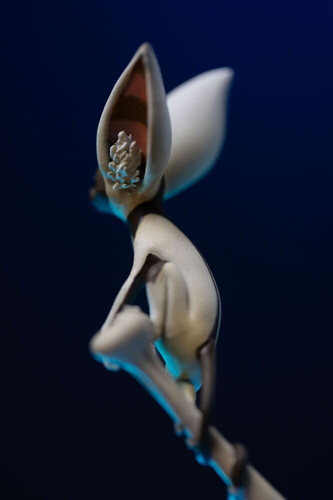 Iron Studios Avatar: The Last Airbender Art Scale Statue 1/10 Sokka 21 cm