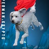 Hot Toys Superman (2025) Action Figure 1/6 Superman & Krypto 33 cm Hot Toys Superman (2025) Action Figure 1/6 Superman & Krypto 33 cm