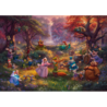 Schmidt Disney Dreams Puzzel Robin Hood (1000 stukken) Schmidt Disney Dreams Puzzel Robin Hood (1000 stukken)