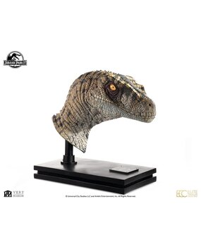 Elite Creature Collectibles Jurassic Park III Bust Female Velociraptor White Queen 75 cm Elite Creature Collectibles Jurassic Park III Bust Female Velociraptor White Queen 75 cm