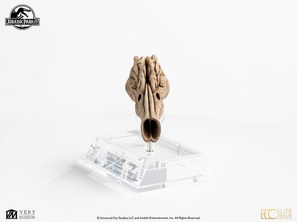 Elite Creature Collectibles Jurassic Park III Prop Replica 1/1 Velociraptor Resonance Chamber 18 cm Elite Creature Collectibles Jurassic Park III Prop Replica 1/1 Velociraptor Resonance Chamber 18 cm