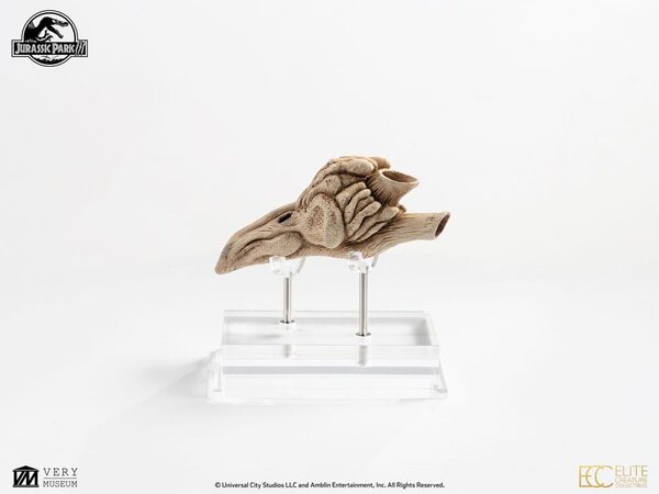 Elite Creature Collectibles Jurassic Park III Prop Replica 1/1 Velociraptor Resonance Chamber 18 cm Elite Creature Collectibles Jurassic Park III Prop Replica 1/1 Velociraptor Resonance Chamber 18 cm