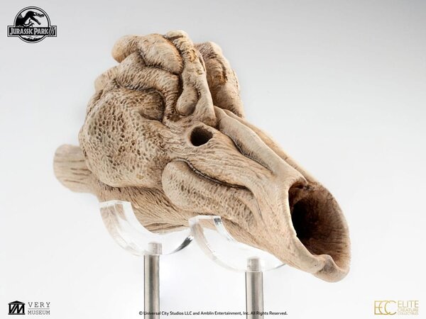 Elite Creature Collectibles Jurassic Park III Prop Replica 1/1 Velociraptor Resonance Chamber 18 cm Elite Creature Collectibles Jurassic Park III Prop Replica 1/1 Velociraptor Resonance Chamber 18 cm