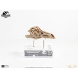 Elite Creature Collectibles Jurassic Park III Prop Replica 1/1 Velociraptor Resonance Chamber 18 cm Elite Creature Collectibles Jurassic Park III Prop Replica 1/1 Velociraptor Resonance Chamber 18 cm