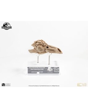 Elite Creature Collectibles Jurassic Park III Prop Replica 1/1 Velociraptor Resonance Chamber 18 cm Elite Creature Collectibles Jurassic Park III Prop Replica 1/1 Velociraptor Resonance Chamber 18 cm