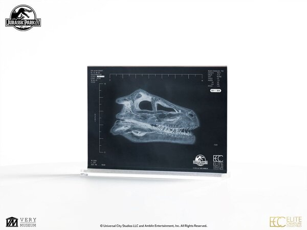 Elite Creature Collectibles Jurassic Park III Prop Replica 1/1 Velociraptor Resonance Chamber 18 cm Elite Creature Collectibles Jurassic Park III Prop Replica 1/1 Velociraptor Resonance Chamber 18 cm