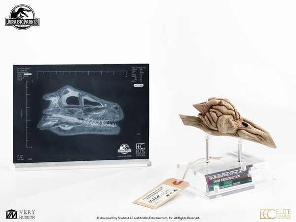Elite Creature Collectibles Jurassic Park III Prop Replica 1/1 Velociraptor Resonance Chamber 18 cm Elite Creature Collectibles Jurassic Park III Prop Replica 1/1 Velociraptor Resonance Chamber 18 cm