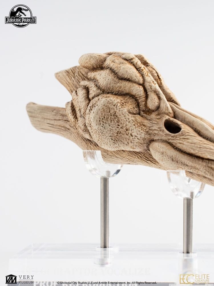 Elite Creature Collectibles Jurassic Park III Prop Replica 1/1 Velociraptor Resonance Chamber 18 cm Elite Creature Collectibles Jurassic Park III Prop Replica 1/1 Velociraptor Resonance Chamber 18 cm