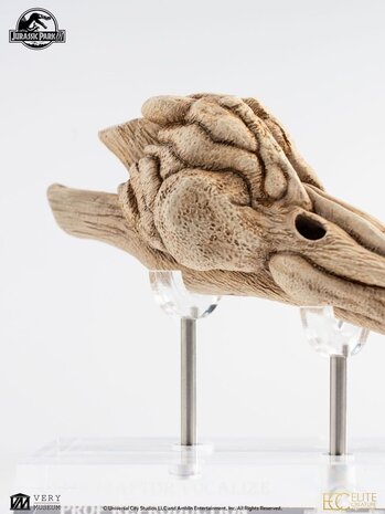 Elite Creature Collectibles Jurassic Park III Prop Replica 1/1 Velociraptor Resonance Chamber 18 cm Elite Creature Collectibles Jurassic Park III Prop Replica 1/1 Velociraptor Resonance Chamber 18 cm