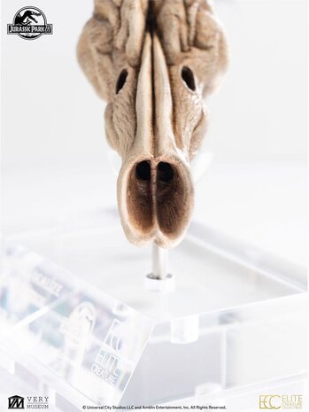 Elite Creature Collectibles Jurassic Park III Prop Replica 1/1 Velociraptor Resonance Chamber 18 cm Elite Creature Collectibles Jurassic Park III Prop Replica 1/1 Velociraptor Resonance Chamber 18 cm