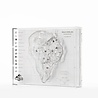 Elite Creature Collectibles Jurassic Park Replica Topographic Map Isla Nublar 27 cm Elite Creature Collectibles Jurassic Park Replica Topographic Map Isla Nublar 27 cm