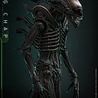 Hot Toys Alien Action Figure 1/6 Big Chap 36 cm Hot Toys Alien Action Figure 1/6 Big Chap 36 cm