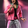 Neca Rolling Stones Clothed Figure Action Figure Mick Jagger (1975) 20 cm Neca Rolling Stones Clothed Figure Action Figure Mick Jagger (1975) 20 cm
