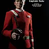 EXO-6 Star Trek VI: The Undiscovered Country Action Figure 1/6 Captain Hikaru Sulu 28 cm EXO-6 Star Trek VI: The Undiscovered Country Action Figure 1/6 Captain Hikaru Sulu 28 cm