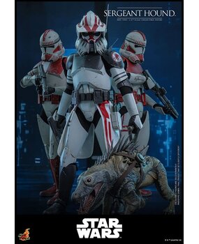 Hot Toys Star Wars: The Clone Wars Action Figure 1/6 Sergeant Hound 30 cm Hot Toys Star Wars: The Clone Wars Action Figure 1/6 Sergeant Hound 30 cm
