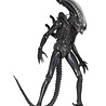 Neca Alien 1979 Action Figure 1/4 Ultimate 40th Anniversary Big Chap 56 cm Neca Alien 1979 Action Figure 1/4 Ultimate 40th Anniversary Big Chap 56 cm